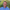 Anders Kappel